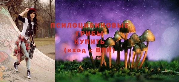 эйфоретик Алзамай