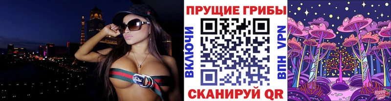 продажа наркотиков  Боготол  Псилоцибиновые грибы Psilocybe 