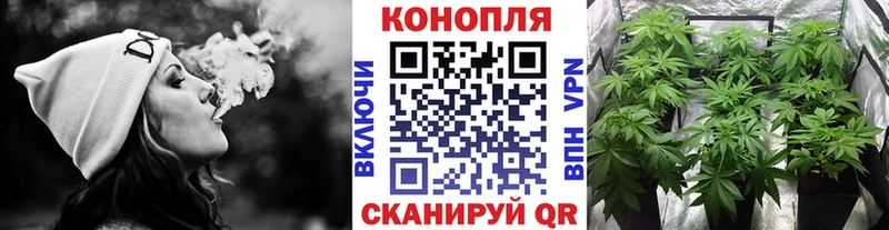 Канабис гибрид  Боготол 